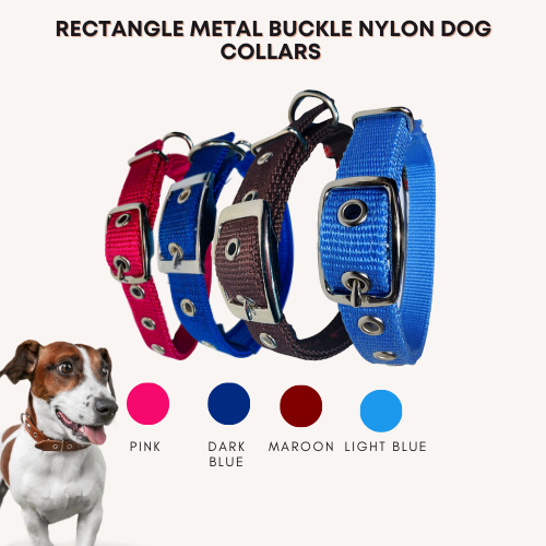 Square Buckle Premium Dog Collar - The Pets Council